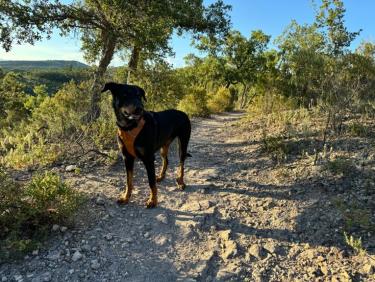 Estérel - Autour du Bombardier