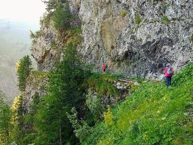 57D5B2BE-4975-4B4C-9E5E-93DC50BD8500.