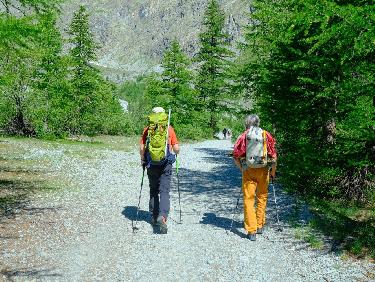 59A9566F-60D3-47D8-9777-73746630EF75.