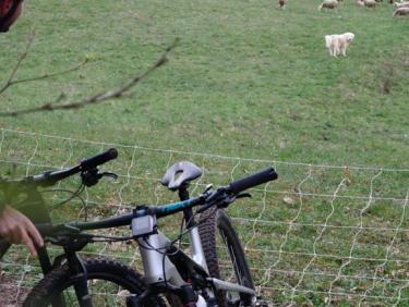 Dem Teufel nochmal von der Schippe gesprungen 😬