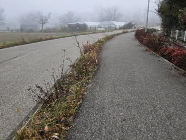 Balade Crolles - Bernin - Crolles