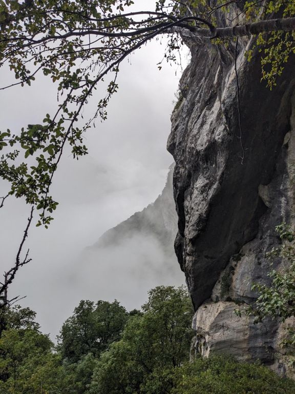 Jusqu'au petit sapin