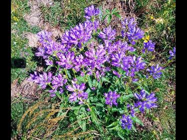 65447B8B-EC15-4D94-AF1F-3011E35B8CFE.