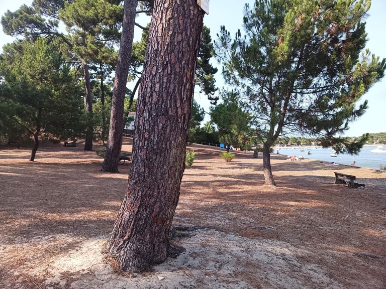Sortie VTT + baignade à la Pointe aux chevaux (Petit Piquey) dans l'après-midi