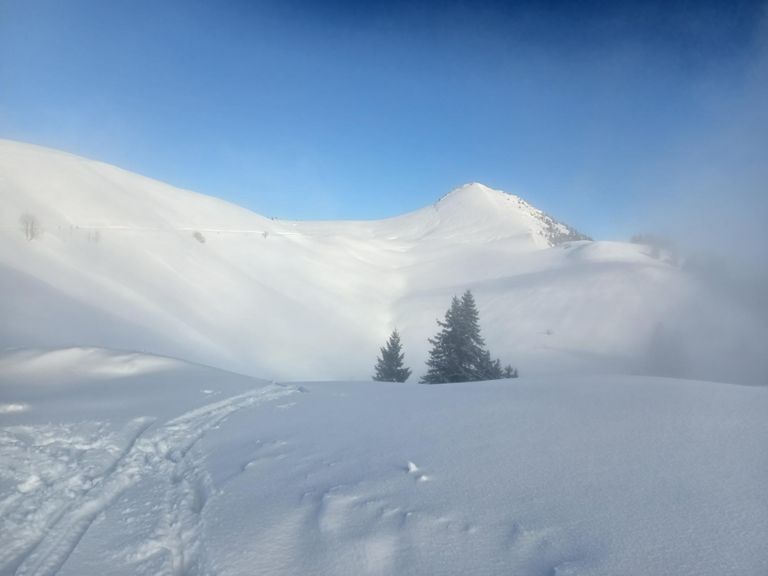Ski de randonnée au Charmant Som depuis le Pont des Cottaves... pour profiter de la dernière chute de neige fraîche.... miam miam la poudreuse 🤩