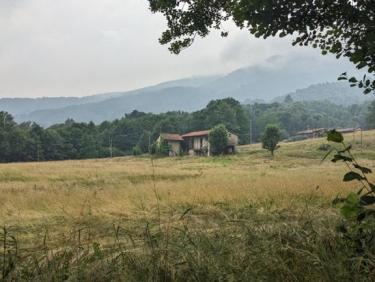 Controllo automatico della velocità