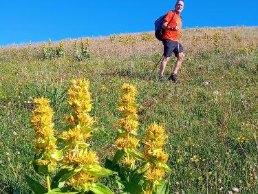 9262ECE4-FA41-4642-8CC9-0F695EFF79E3.