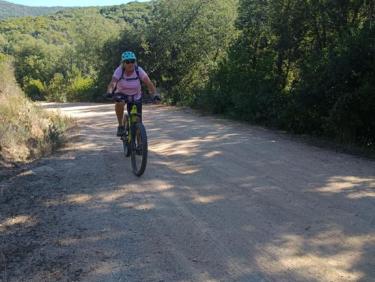 Verghia belle boucle joli single et forêt d&apos;eucalyptus