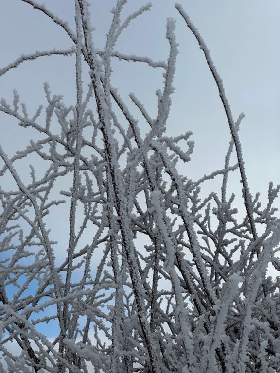 Point de la galoppaz