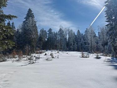 Rando raquette en Chartreuse