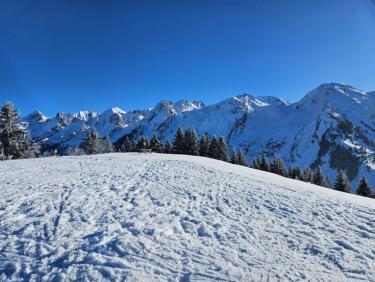 Ski nordique Les Confins