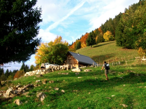 A hauteur du premier alpage