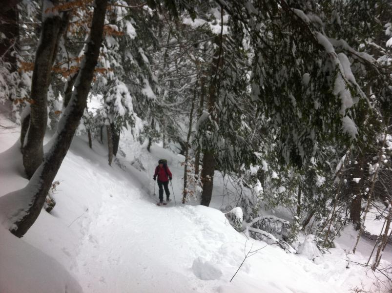 A l'abri des flocons....