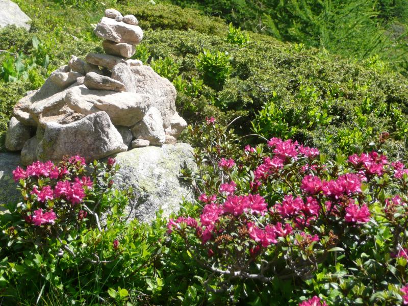 A la descente dans le vallon de Prals