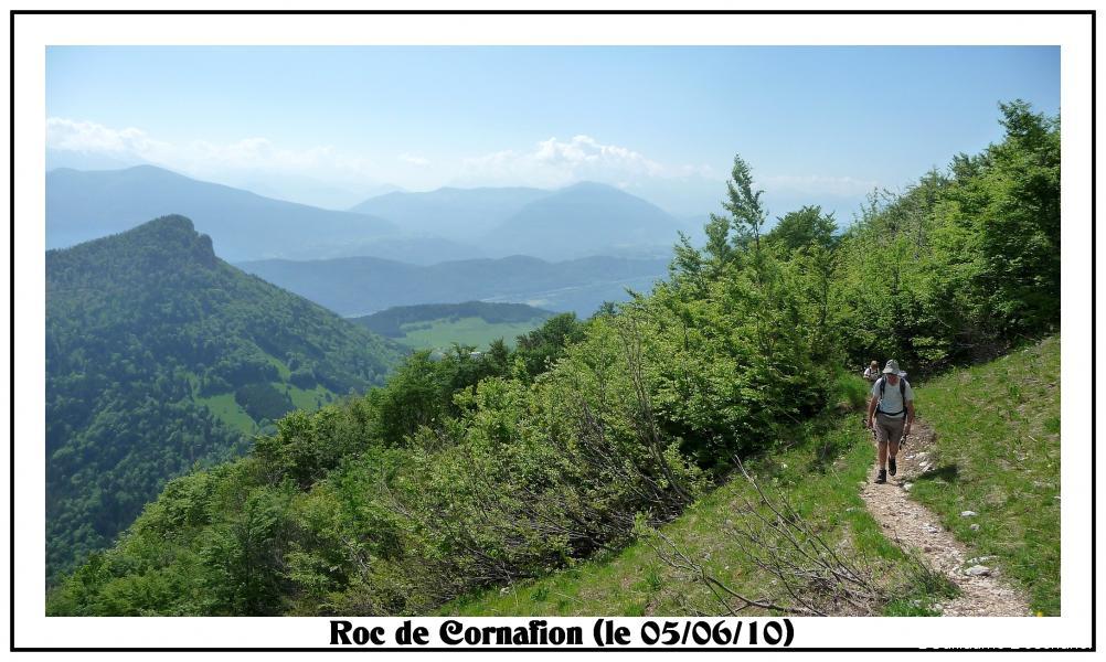A la sortie de la forêt