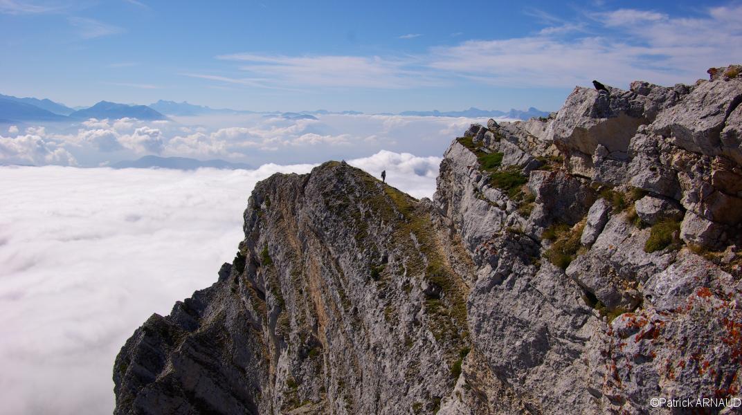 A poor lonesome rando-boy