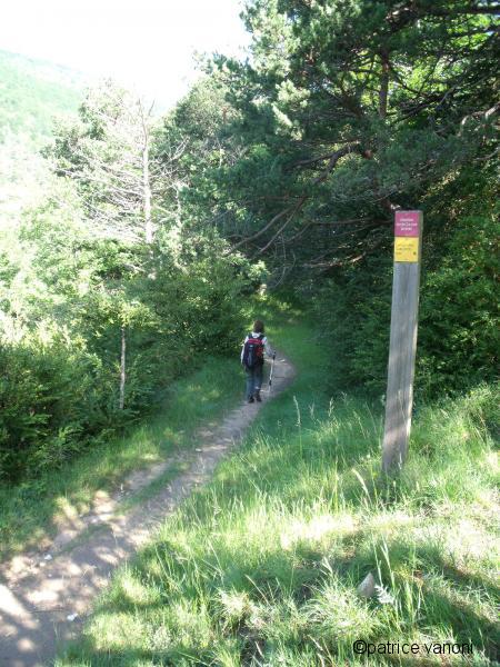 Accés au canyon