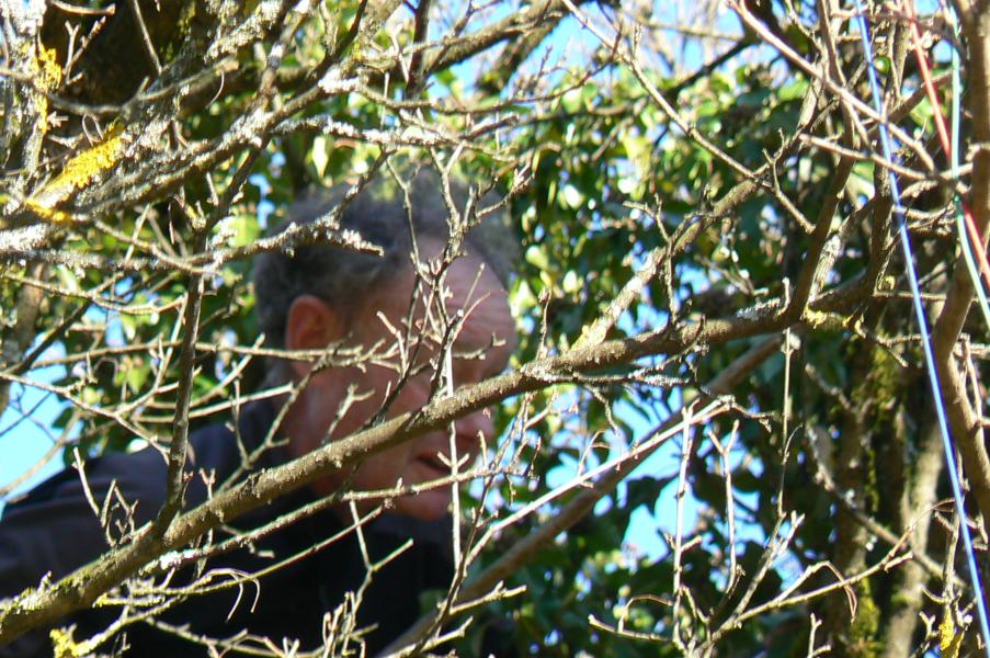 Activité acrobranche...