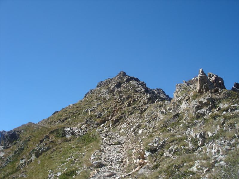 Agnellière