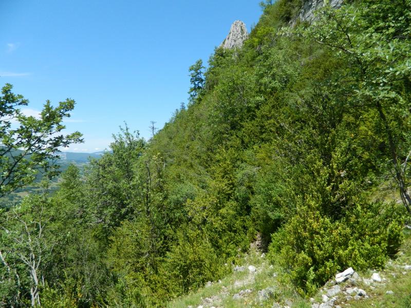 Aiguille 1315 des Rancs