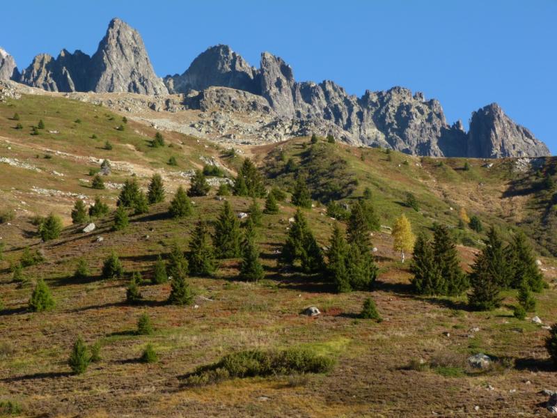 Aiguilles de l'Argentières