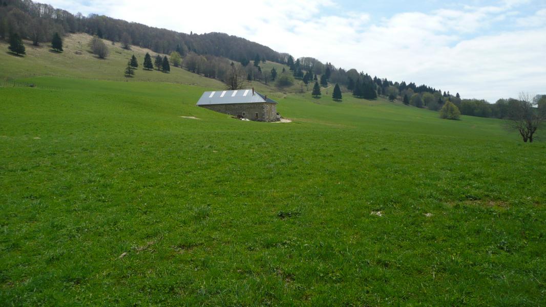 Alpage de Gontier