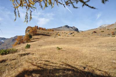 Alpages du Distroit.