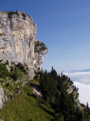 Ambiance Charteuse