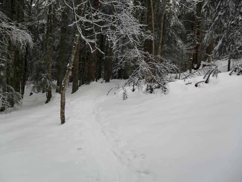 Ambiance hivernale en Chartreuse