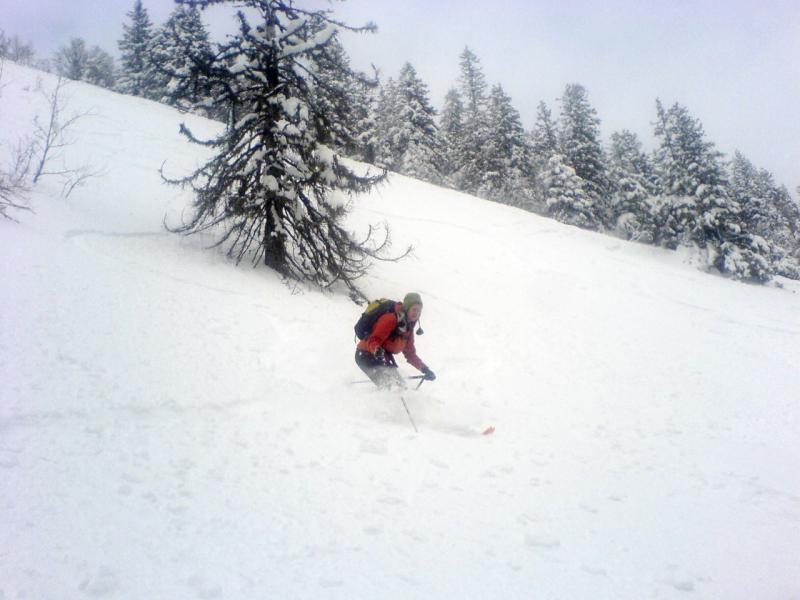Anny en chartreuse