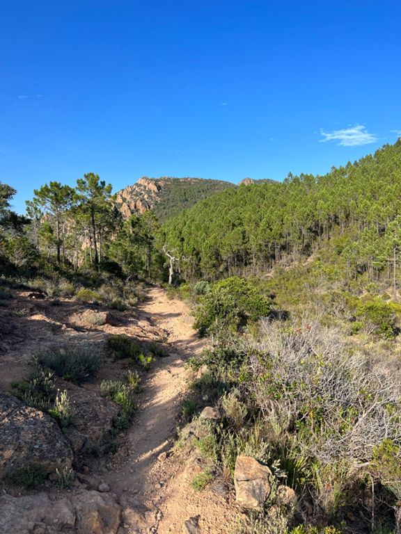 Estérel - Ravin du Mal Infernet, avec Roméo et Thalie 🐕