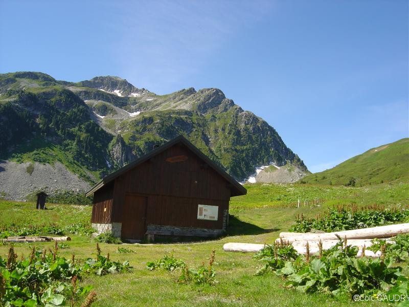 Arbaretan