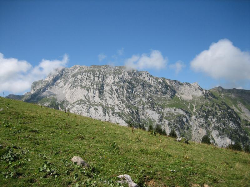 Arcalod