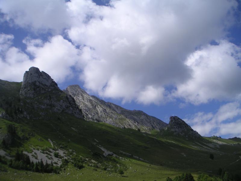 Arcalod
