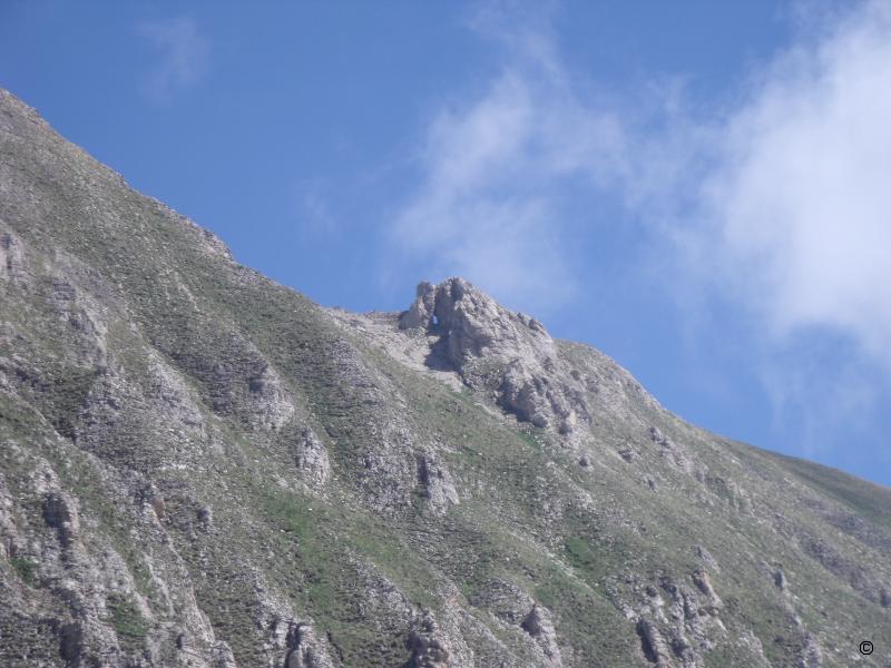 Arche