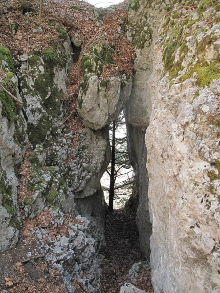 Arche