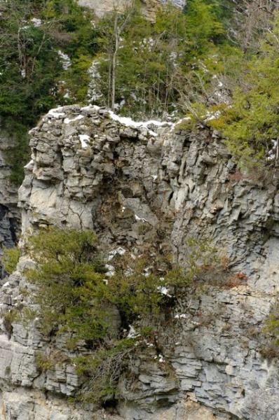 Arche de la combe de Naye