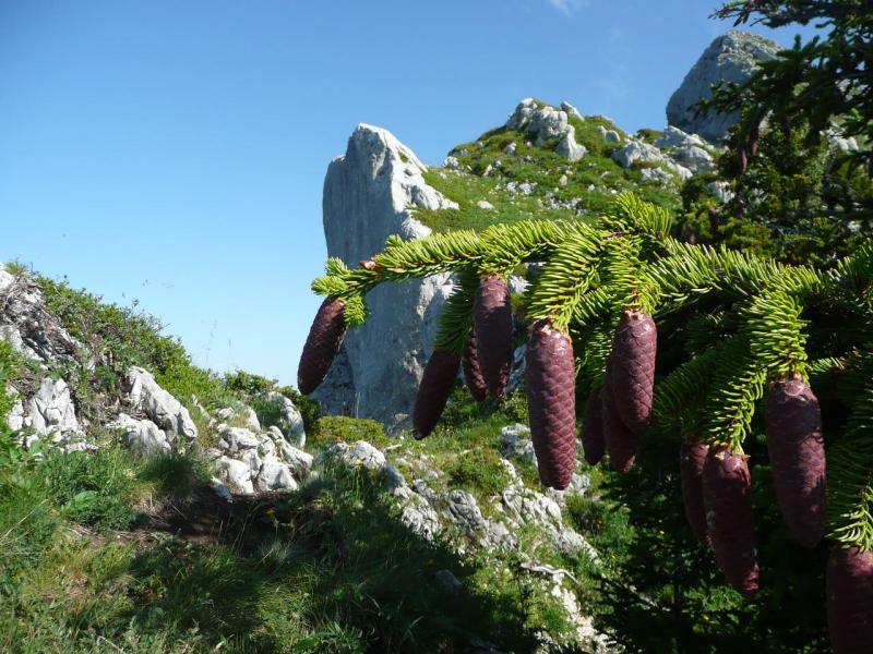 Arête Sud
