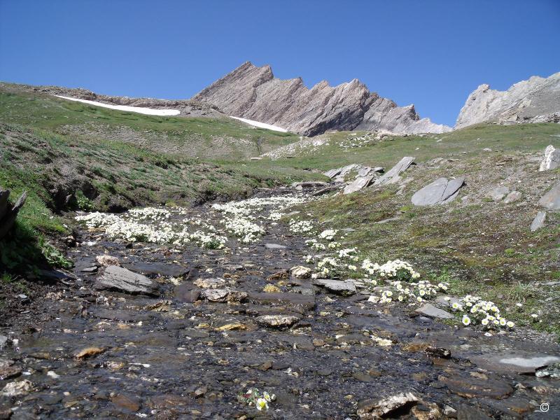 Arête de la Taillante.