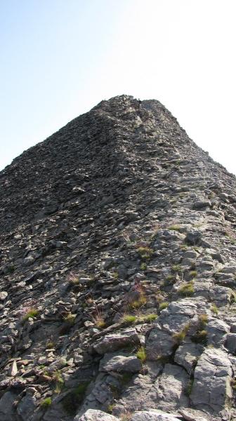 Arete finale