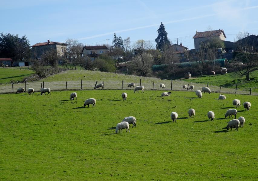 Arrivée à Quéret