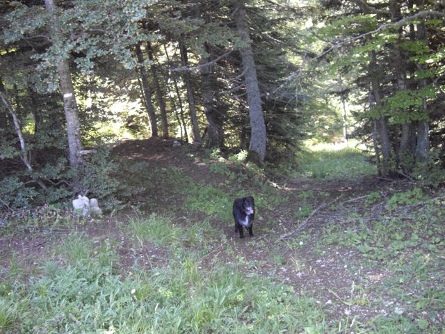 Attaque du sentier en versant ouest