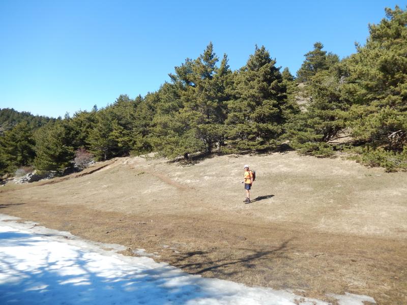 Au Col de Champlat