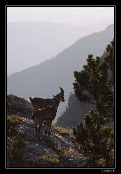 Au bord de la falaise.