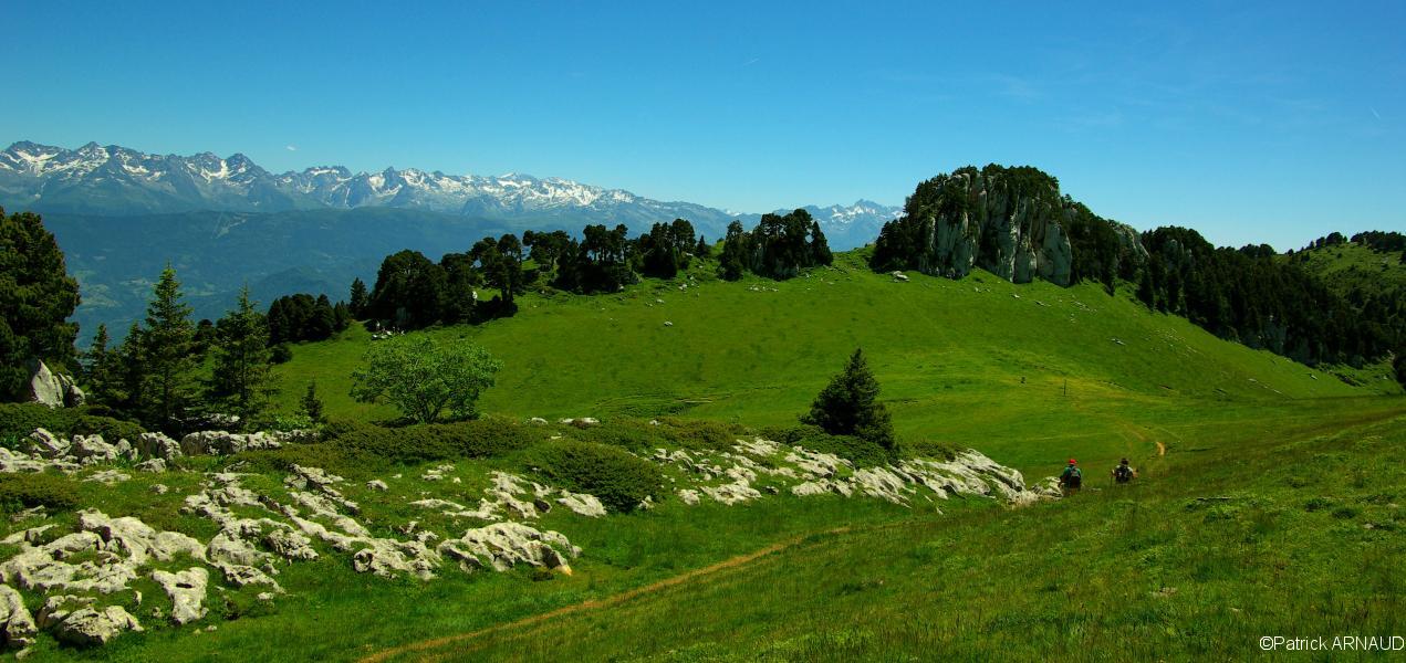 Au col de l'Alpe