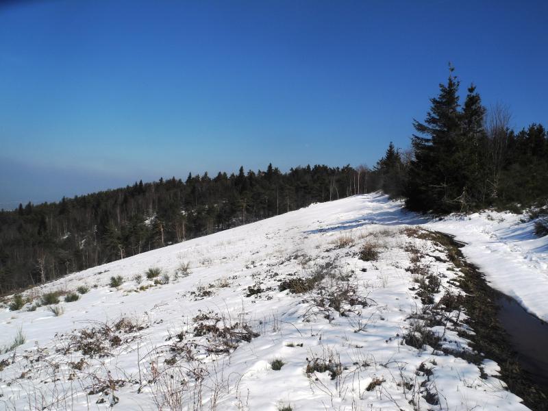 En haut de la clairiÃ¨re du dÃ©co