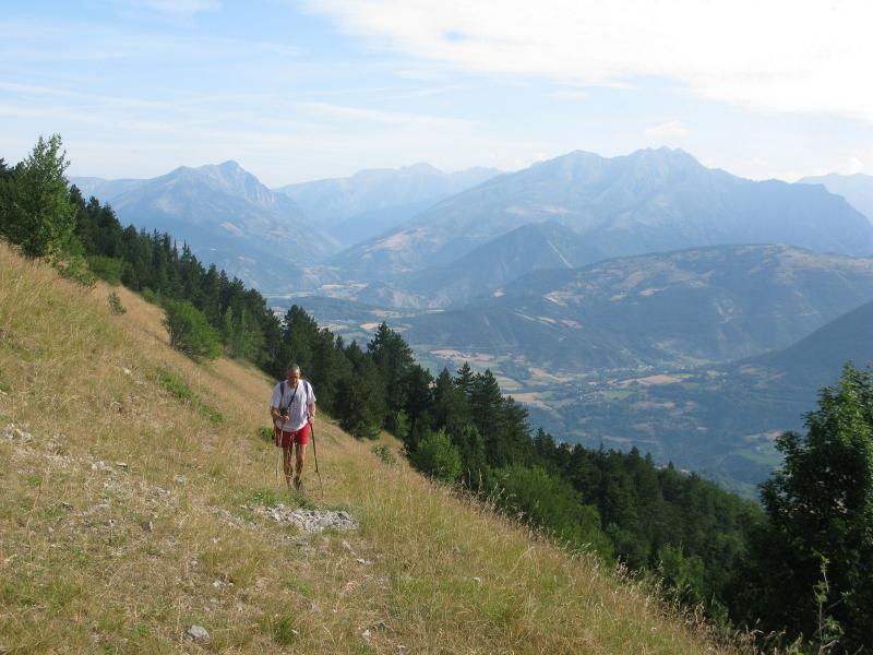 Au dessus de la forêt, sous le col