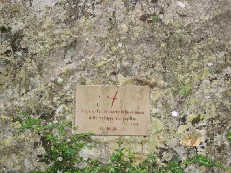 Au fond des Gorges...