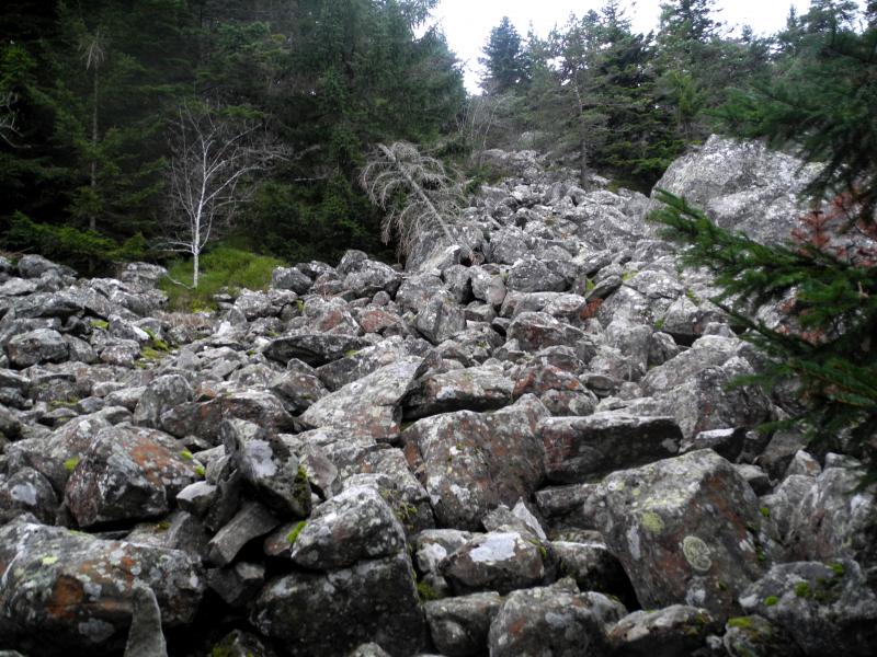 Au pied de l'Ã©boulis de blocs du Mounier