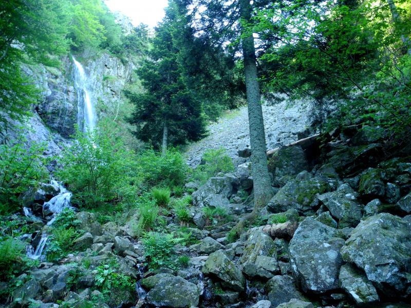 Au pied du chirat